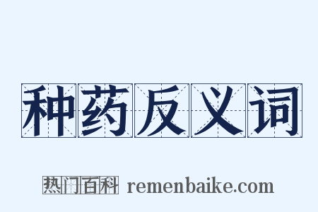 种药反义词是什么意思的图片